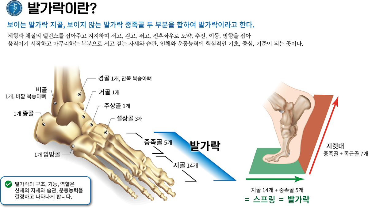 신체발란스운동건강연구소 안내