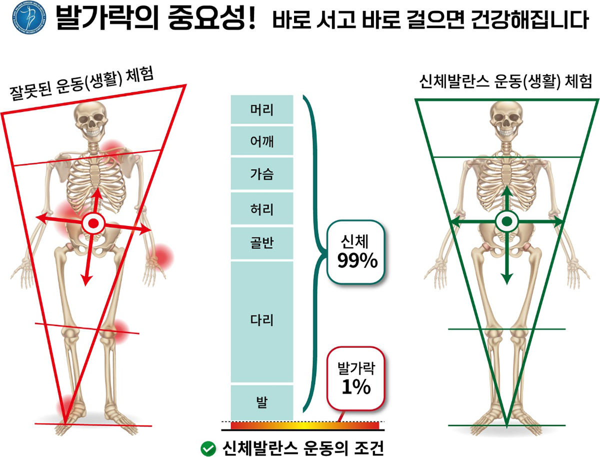 신체발란스운동건강연구소 안내