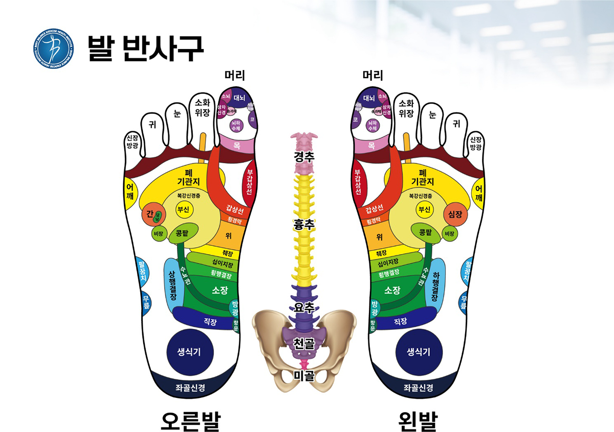 신체발란스운동건강연구소 안내